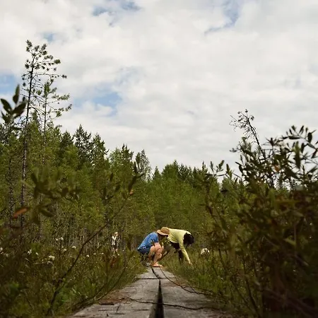 Lomalehto Cottages Ahvionniemi Esterno foto