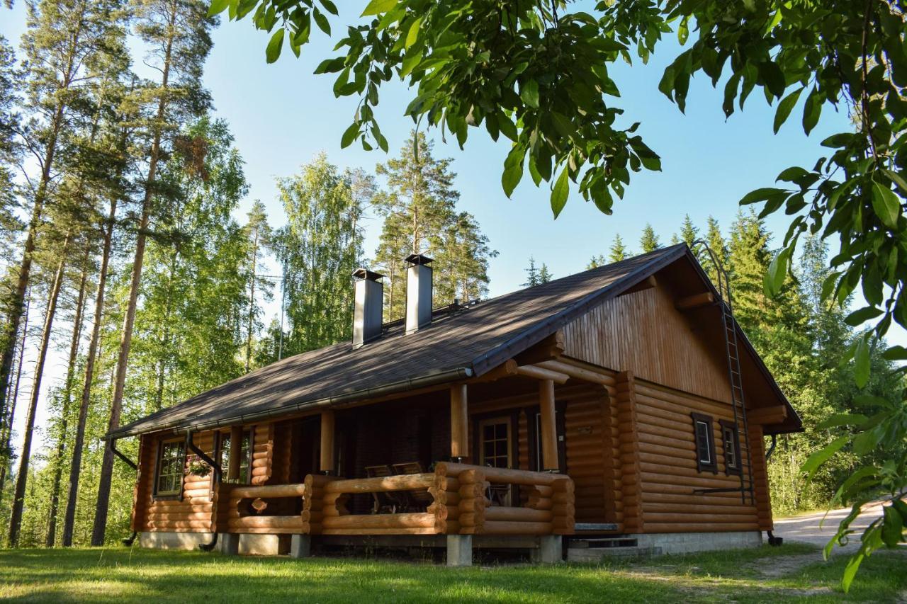 Lomalehto Ahvionniemi